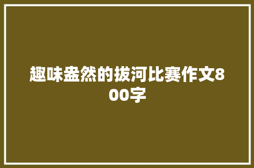 趣味盎然的拔河比赛作文800字