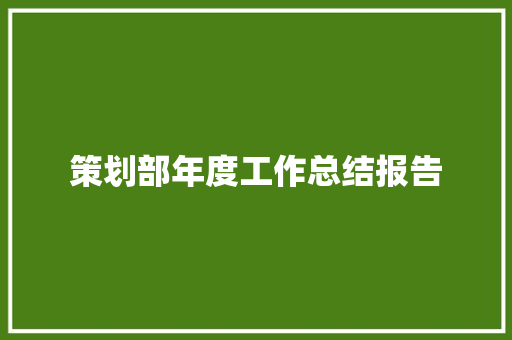 策划部年度工作总结报告