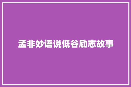 孟非妙语说低谷励志故事