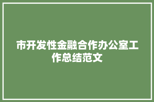 市开发性金融合作办公室工作总结范文