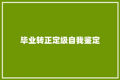 毕业转正定级自我鉴定