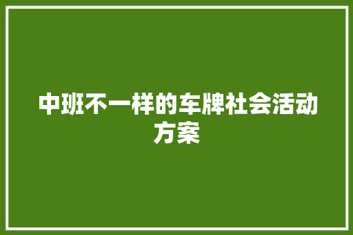 中班不一样的车牌社会活动方案