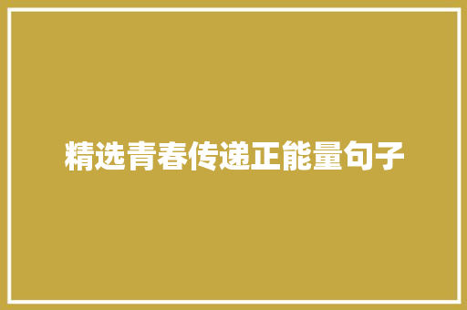 精选青春传递正能量句子