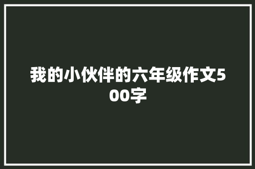 我的小伙伴的六年级作文500字