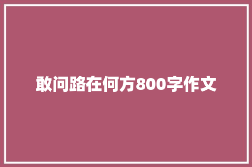 敢问路在何方800字作文 简历范文