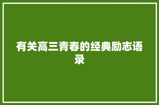 有关高三青春的经典励志语录