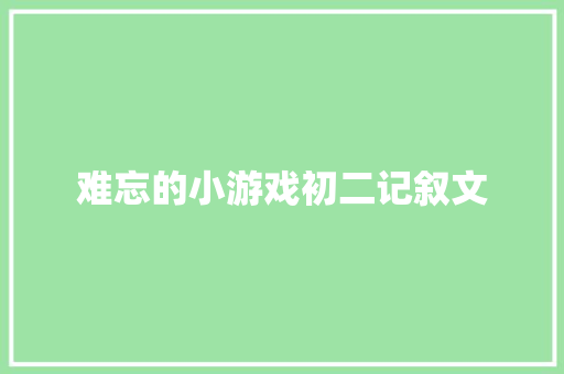 难忘的小游戏初二记叙文