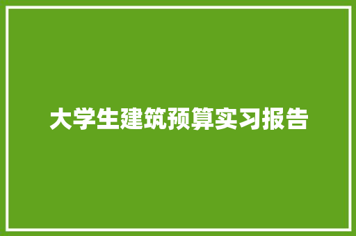 大学生建筑预算实习报告 工作总结范文