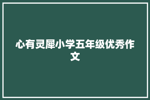 心有灵犀小学五年级优秀作文