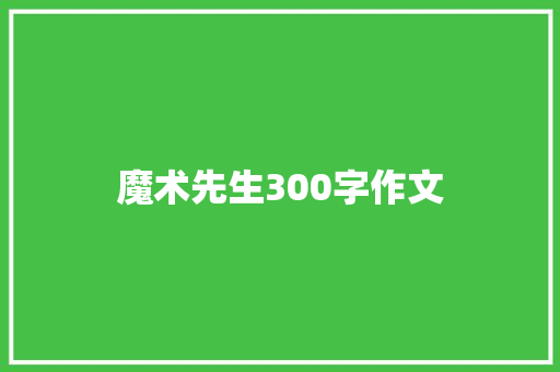 魔术先生300字作文