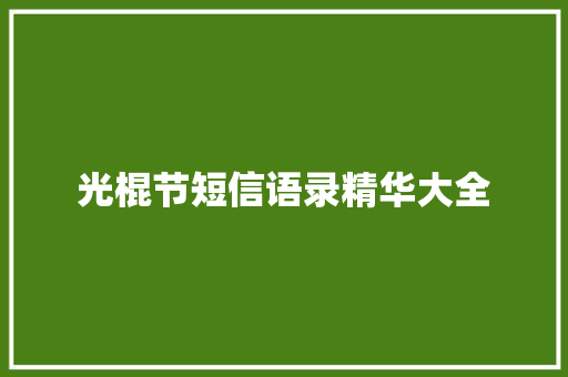 光棍节短信语录精华大全