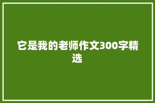 它是我的老师作文300字精选