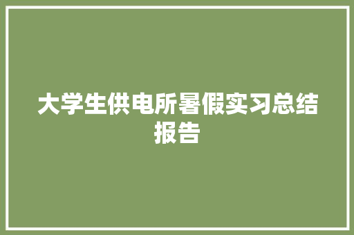 大学生供电所暑假实习总结报告