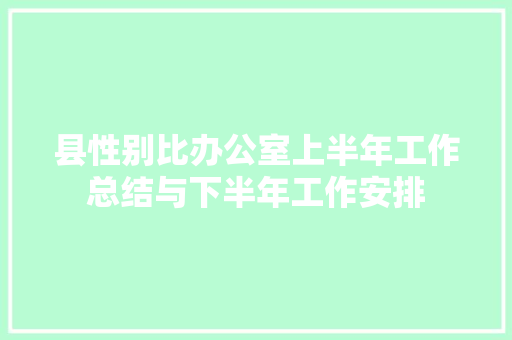 县性别比办公室上半年工作总结与下半年工作安排