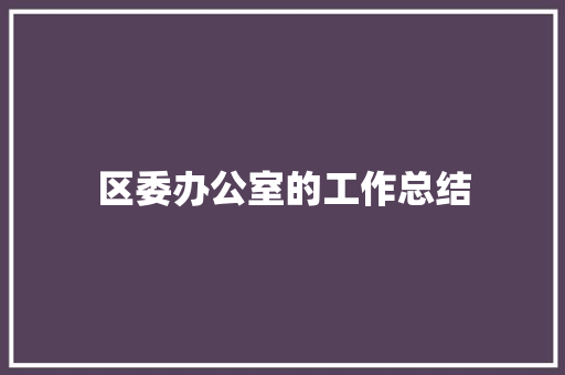 区委办公室的工作总结