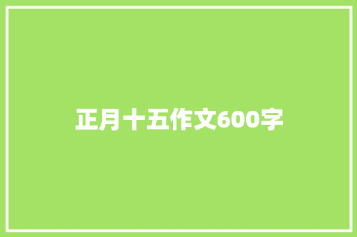 正月十五作文600字 会议纪要范文