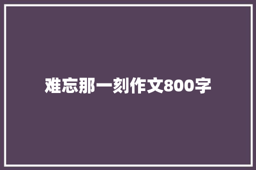 难忘那一刻作文800字