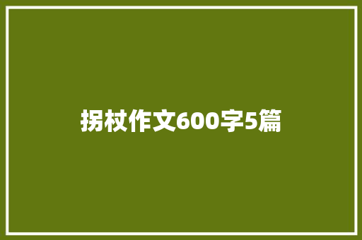 拐杖作文600字5篇