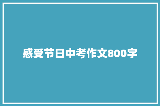 感受节日中考作文800字 学术范文