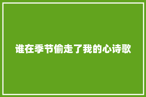 谁在季节偷走了我的心诗歌