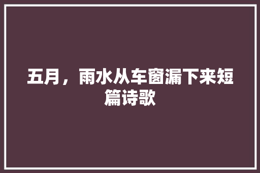 五月，雨水从车窗漏下来短篇诗歌