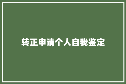 转正申请个人自我鉴定