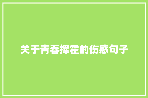 关于青春挥霍的伤感句子