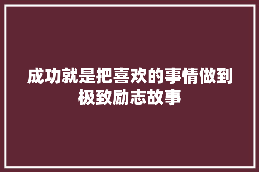 成功就是把喜欢的事情做到极致励志故事