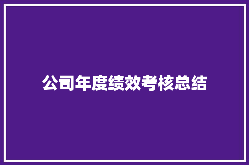 公司年度绩效考核总结