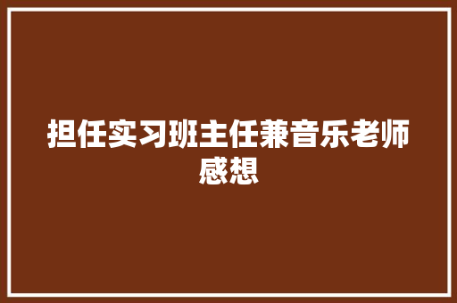 担任实习班主任兼音乐老师感想