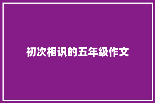 初次相识的五年级作文