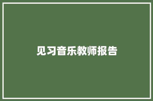 见习音乐教师报告