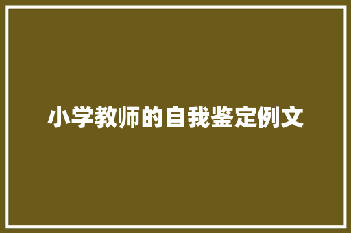 小学教师的自我鉴定例文