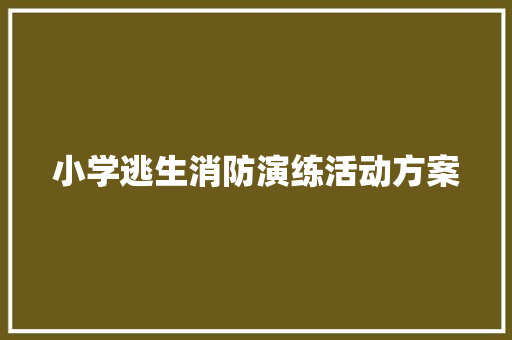 小学逃生消防演练活动方案 报告范文