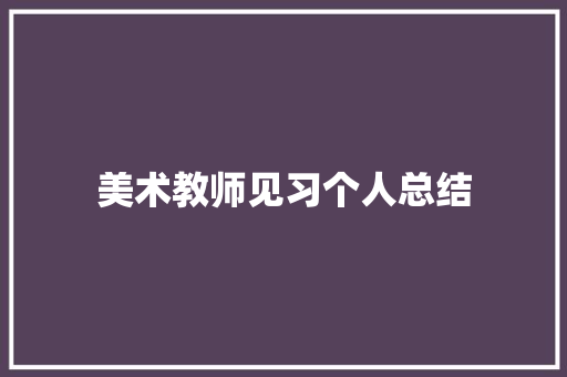 美术教师见习个人总结