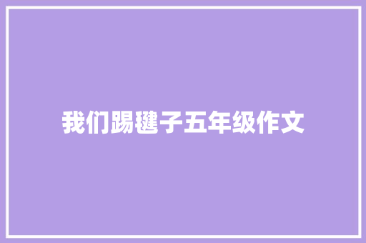 我们踢毽子五年级作文