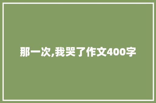 那一次,我哭了作文400字 会议纪要范文