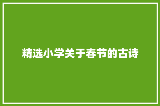 精选小学关于春节的古诗