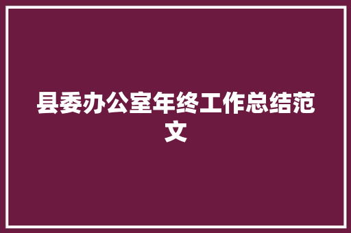 县委办公室年终工作总结范文