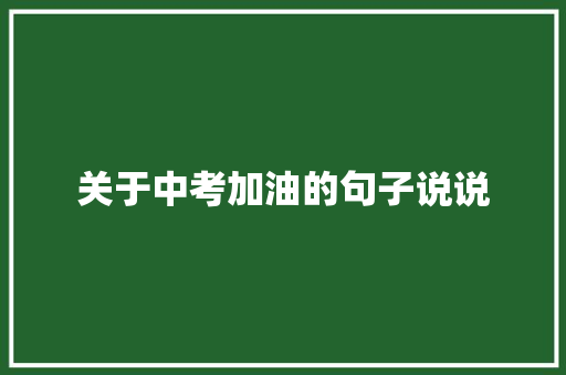 关于中考加油的句子说说 申请书范文