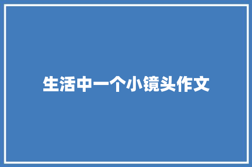 生活中一个小镜头作文