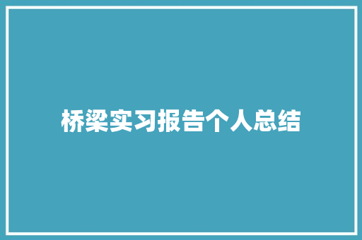 桥梁实习报告个人总结