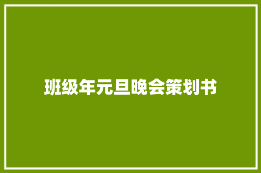 班级年元旦晚会策划书