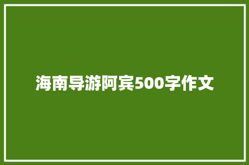 海南导游阿宾500字作文