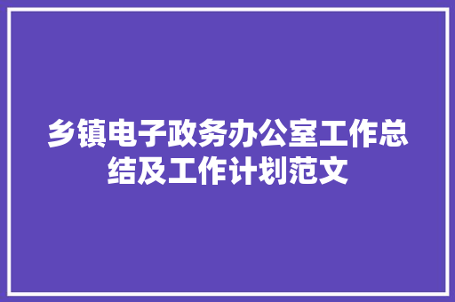 乡镇电子政务办公室工作总结及工作计划范文