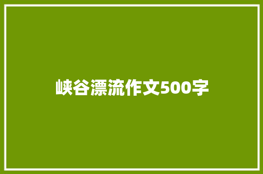 峡谷漂流作文500字