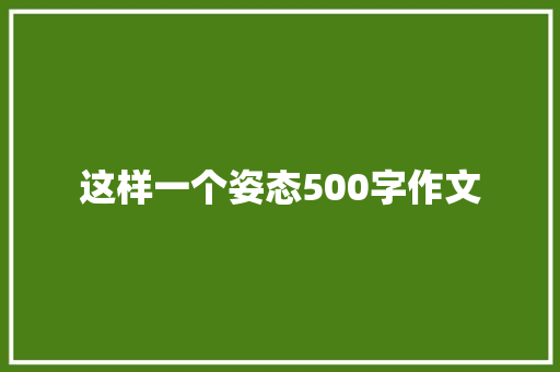 这样一个姿态500字作文