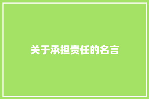 关于承担责任的名言