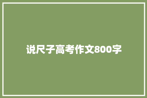 说尺子高考作文800字