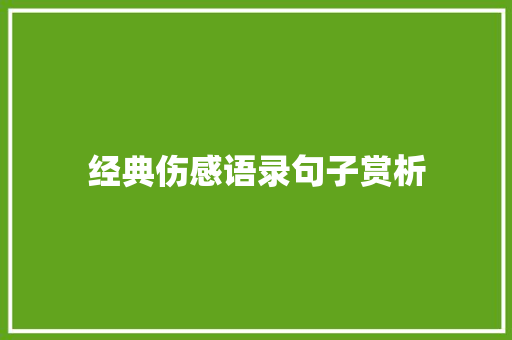 经典伤感语录句子赏析